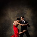 정열의 탱고 이미지