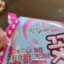 꽃보다아이스크림 | 아이스크림할인점 봄신상아이스크림 꽃돼지바 후기