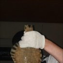 증평수족관 이미지