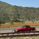 그늘막74 | 강원도 홍천 : 포토존 가득한 대형 카페 [ 위켄드 74 ]