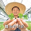 스타벅스에 ‘네잎 클로버’ 공급…“노력으로 만든 행운” 이미지