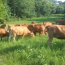 준용농장 이미지