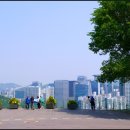 하늘공원호프 이미지