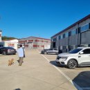 Petshill (펫츠힐) 이미지