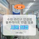 샤론핏 | [샤론안경원] 솔직후기 섬세한 맞춤 큐레이션 + 최신 시력검사 블루라이트 차단 안경 수원 맞춤 안경...
