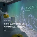 조요소 | 성수 조말론팝업 사전예약 방법부터 증정품, 신제품 씨솔트앤베르가못까지 방문후기