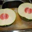 쪼개 서울신문