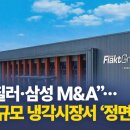 “LG 칠러·삼성 M&amp;A”…60조 규모 냉각시장서 ‘정면 승부’ 이미지