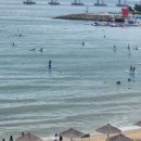 쉽게 배우는 경매, 재테크, 부동산 이미지