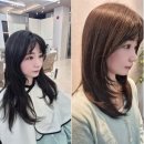 손톱하는뇨자 | 광주 임동 미용실 추천 살롱드에끌라 광주본점 여성레이어드컷트 후기