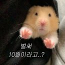 홍주고등학교 | #With youuu