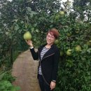 흥촌농장 이미지