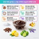 세원빌딩 | 여름 바디라인, 급하게 빼기보다 지금부터 흐름을 바꿔야 합니다.