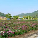 수타사