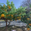 (주)제주 유리의 성 이미지