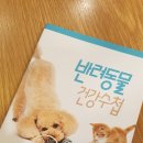 노형 꿈 동물병원 이미지