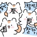 서운간이체육관 이미지