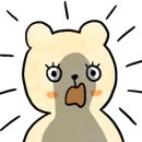 엔의원 네이버블로그