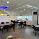 파파쿠치나 이미지