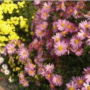 정읍시북부노인복지관 이미지