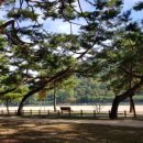 고전면생활체육공원 이미지