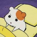영앤리치선배 이미지