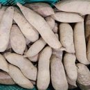 아어가지 이미지