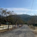 제이제이 | 키즈캠핑장으로 유명한 “공주제이제이캠핑장” 솔직 후기