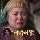 앙실로 이미지