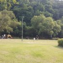 용인-구갈-구갈1 이미지