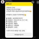 쉐보레보령지정코너 | 2026 보령머드축제 먹거리존 부스 소개 및 메뉴 추천