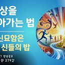 279강) 신비, 신묘함은 기복과 신들의 밥 이미지