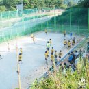 품실채마을 이미지