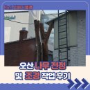 강남동로 | 오산 나무 전정 및 조경 작업 후기