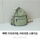 아프리콧스튜디오 캐스터네츠백 보냉백_이유식 시작하는 아기에게 추천