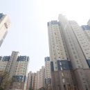 리첼공인중개사사무소 이미지