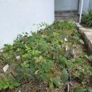 거사목장 이미지