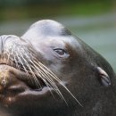 진영골프연습장 이미지