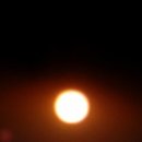 일출수산 이미지