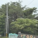 강릉 뒷뜨루 관광농원 후기｜아이랑 가기 좋은 식물원 카페