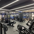 파워 마스터짐 이미지