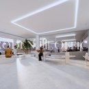 신사동-4 이미지