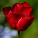 연극으로 배우는영어 이미지