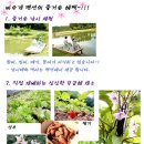 펜션바우 이미지