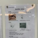 연세사랑소아청소년과 이미지