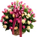 제주의료원 이미지