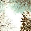 닮아가다 이미지