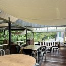 포레스트541 이미지