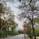 연인산다목적캠핑장 이미지