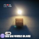 종곡마을 | 담양 감성 숙소 독채 촌캉스 펜션 추천 콩니네집